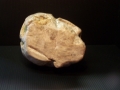 petoskey-stone-4
