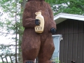 bear