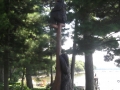 bears-3